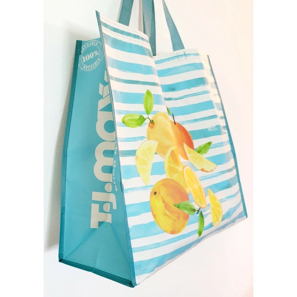 Shopping Gift Bag Fruit Citrus Oranges Lemons Blue Stripes Reusable Tote TJMaxx
